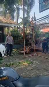 SINERGITAS POLRI DAN BPBD, KERJA BAKTI BERSAMA WARGA ATASI POHON ROBOH DI BANTARGEBANG