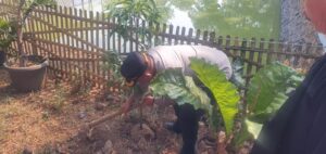 Polsek Bantargebang Bersama Muspika dan Warga Tanam 40 Pohon di Danau Cipeucang